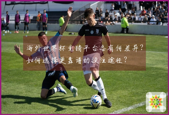 海外世界杯竞猜平台各有何差异？如何选择更靠谱的投注途径？