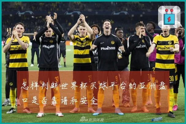 怎样判断世界杯买球平台的亚洲盘口是否靠谱和安全