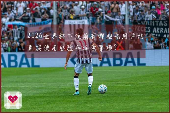 2026世界杯下注前有哪些老用户的真实使用经验和注意事项？