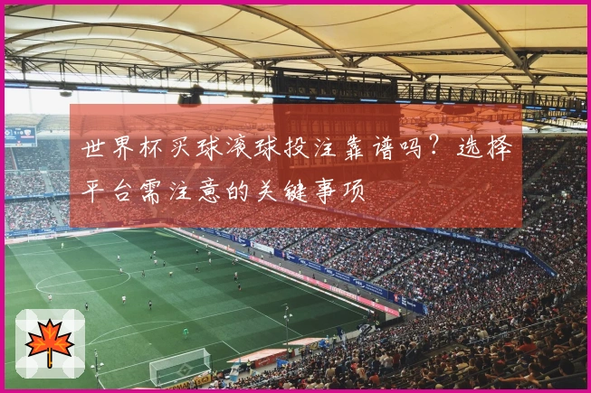世界杯买球滚球投注靠谱吗？选择平台需注意的关键事项