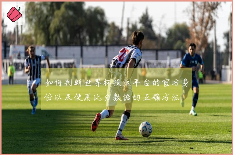 如何判断世界杯投注平台的官方身份以及使用比分数据的正确方法