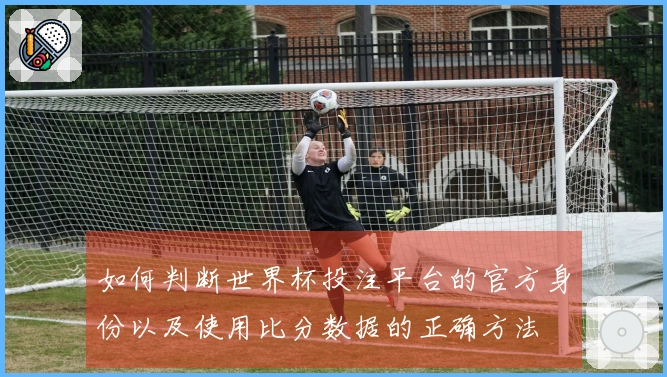 如何判断世界杯投注平台的官方身份以及使用比分数据的正确方法